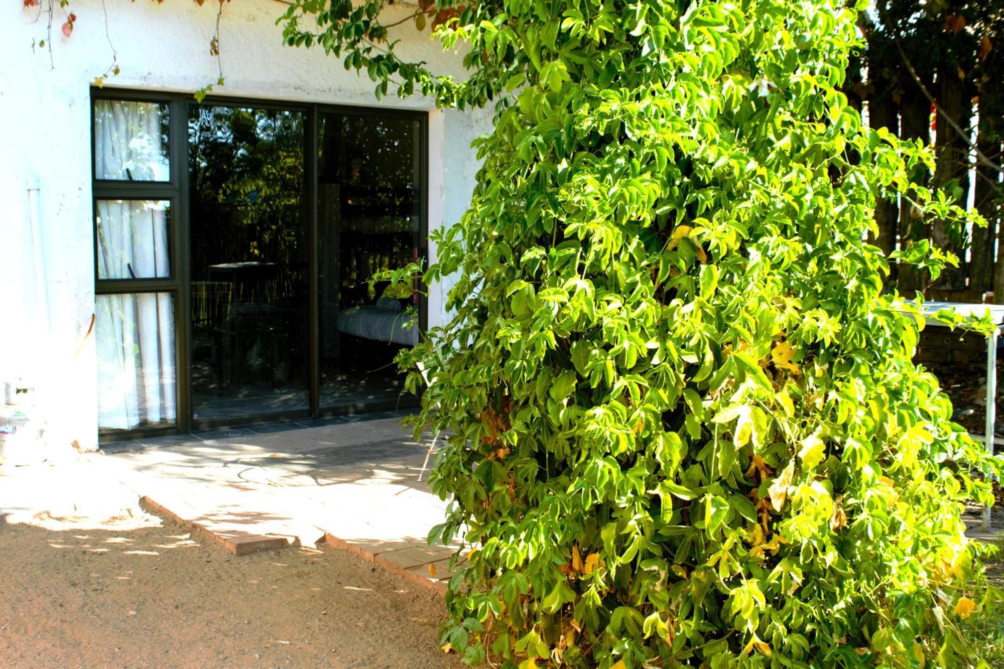 Ditsem Guest Farm Upington Ngoại thất bức ảnh