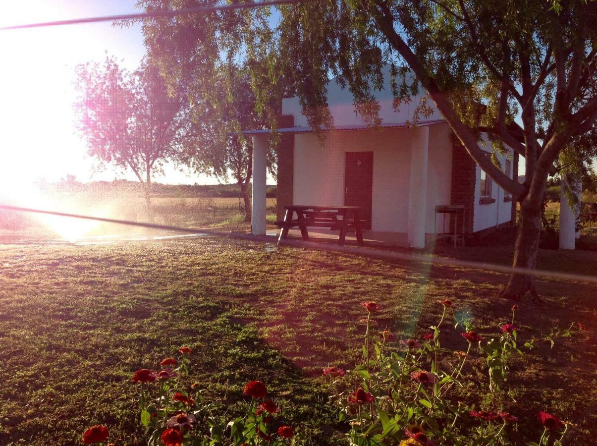 Ditsem Guest Farm Upington Ngoại thất bức ảnh