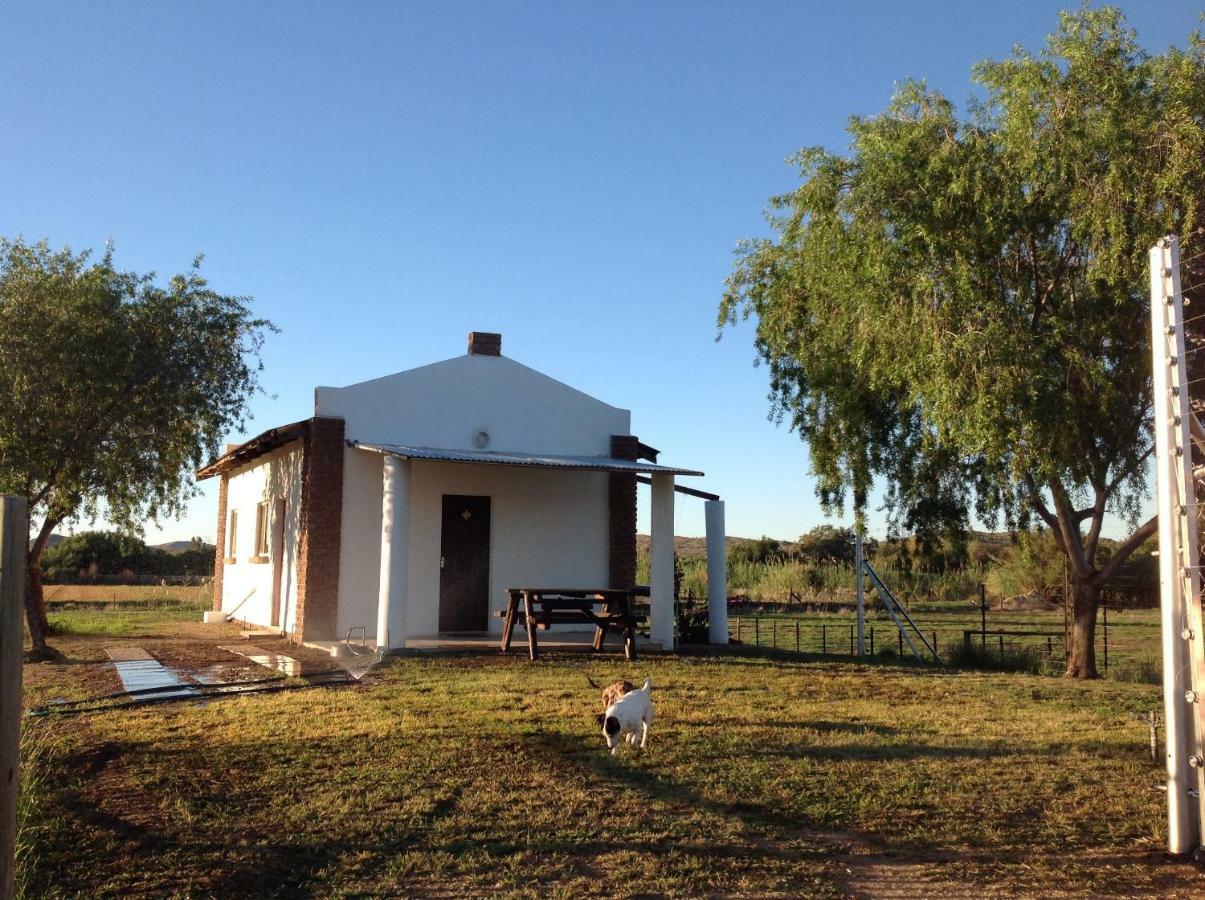 Ditsem Guest Farm Upington Ngoại thất bức ảnh