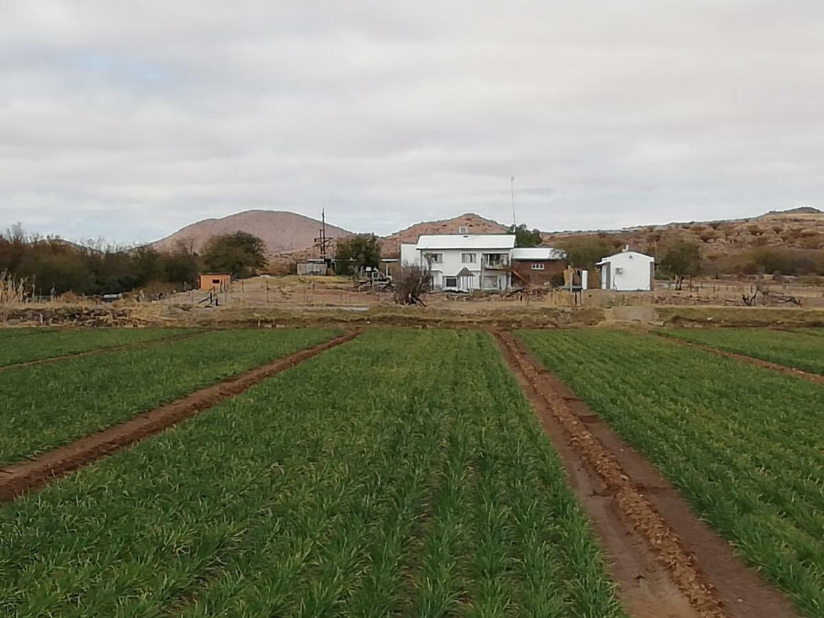 Ditsem Guest Farm Upington Ngoại thất bức ảnh